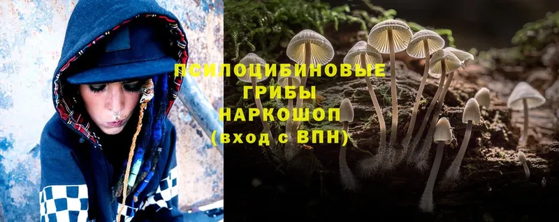 Галлюциногенные грибы Magic Shrooms  наркошоп  Алексеевка 